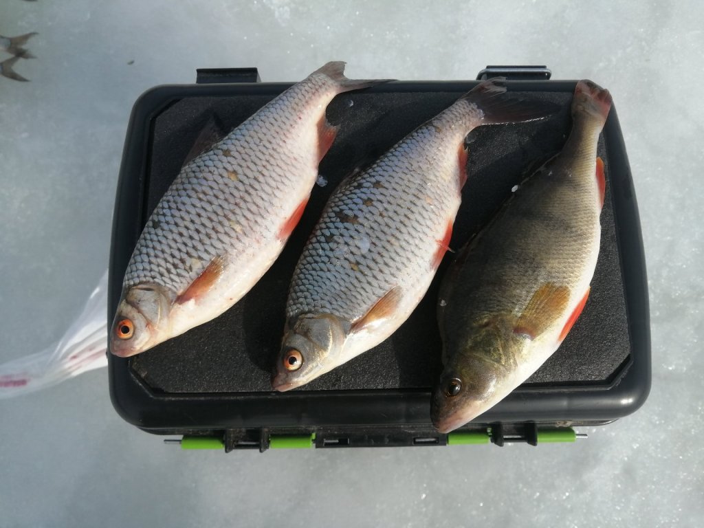 Топ 3. 🎣