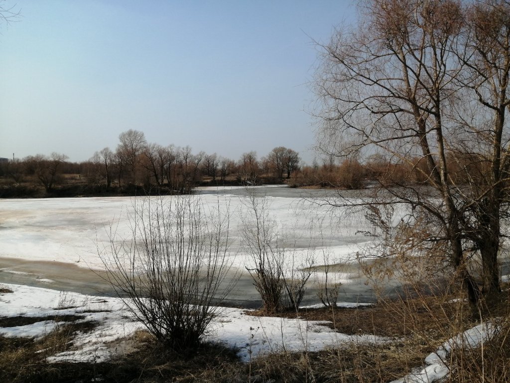 Приехали с поплавочными удочками на ЖБИ. 🤣😁😁