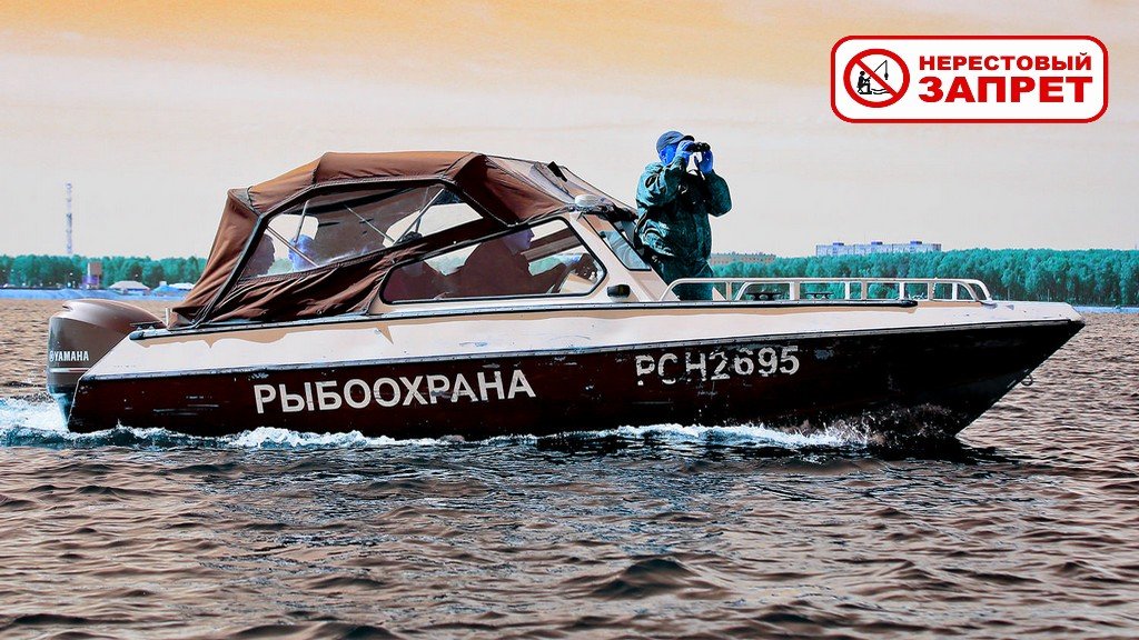 Нерестовый запрет 2024 в Новосибирской области. Когда, где и чем нельзя ловить
