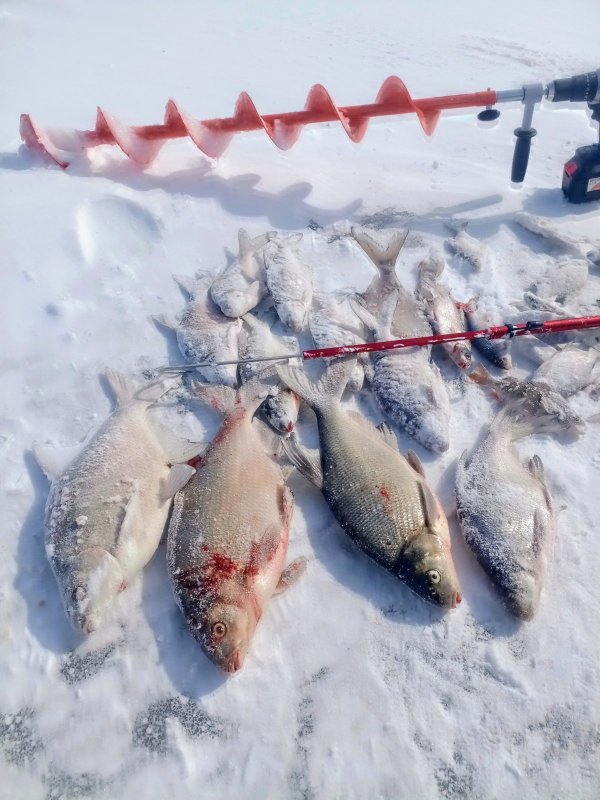 Сегодня поскромнее)))