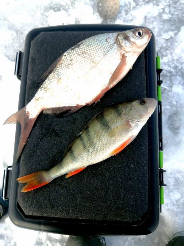 Топ2🎣.