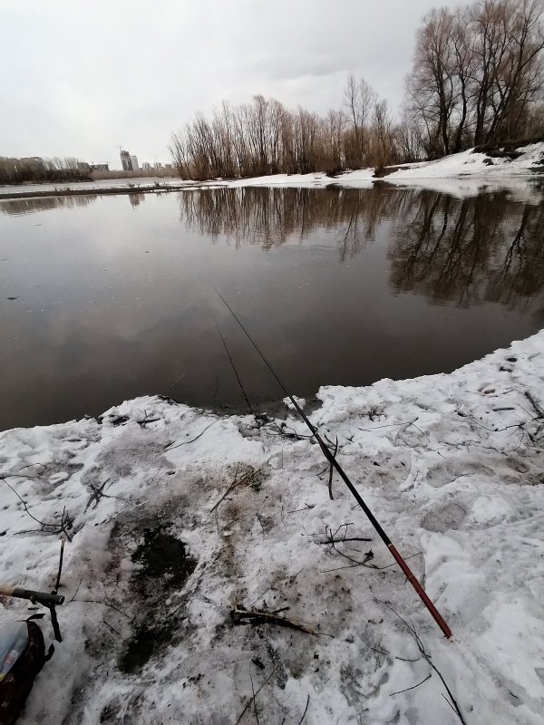 Сезон не открыл.