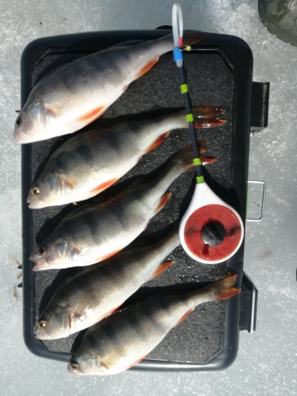 Топ5🎣.
