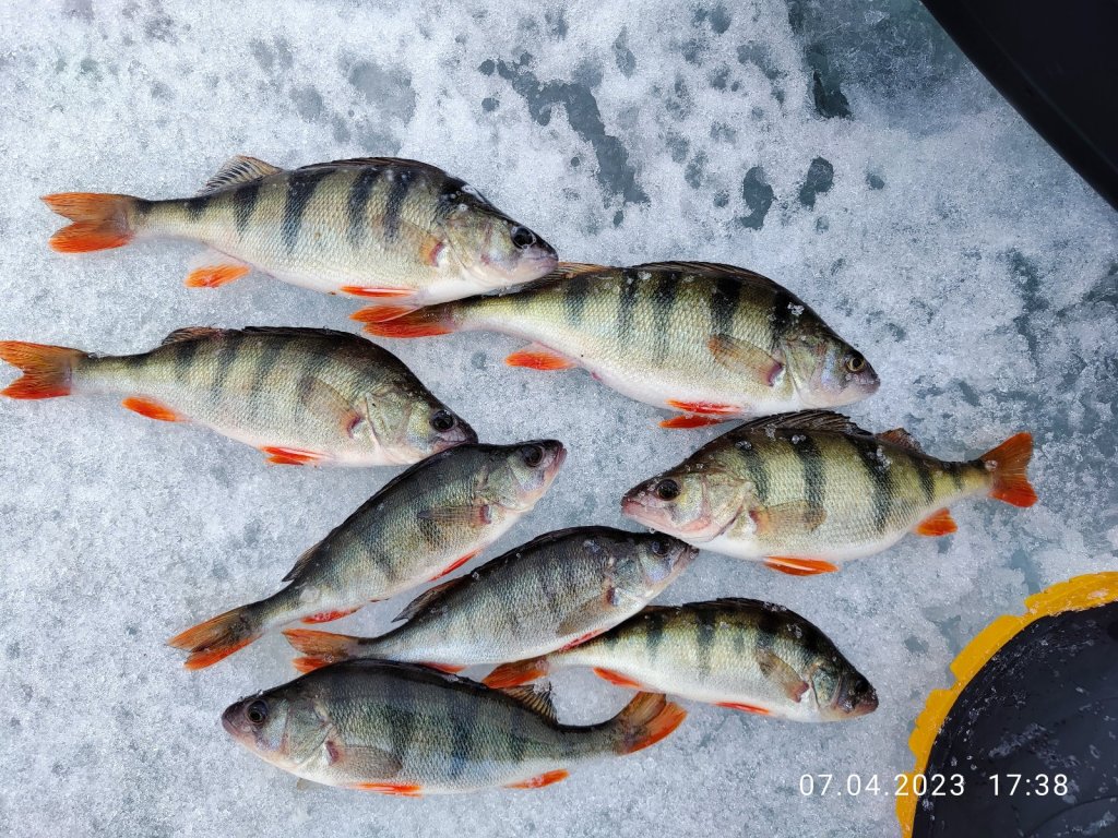 ТВ, очень скромно.