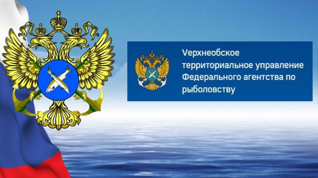 Официальный ответ Росрыболовства на запрос ФС по запрету 2023