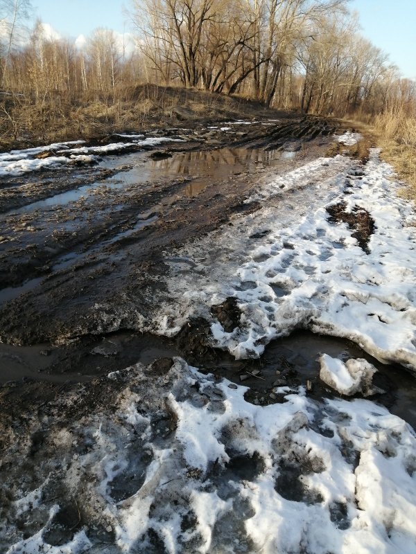 Дорога к устью Тулки.