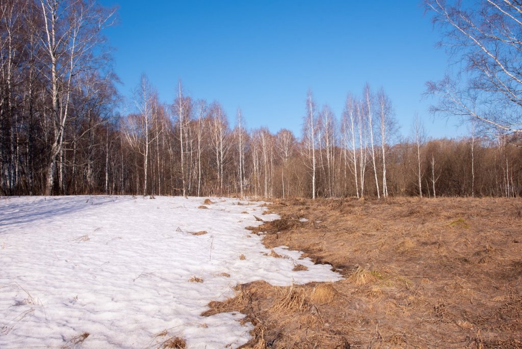 Весна наступает