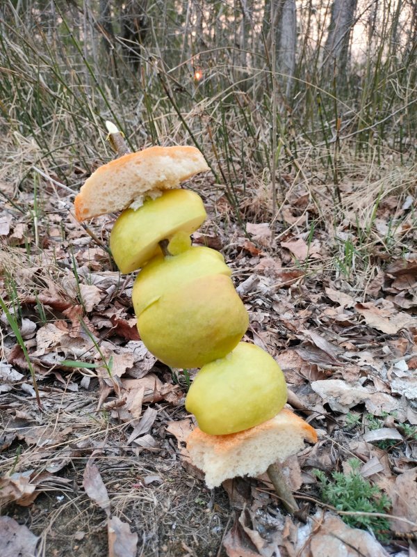 Майский шашлык для бурундуков