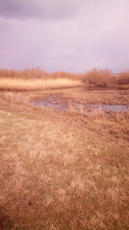 Течёт река .