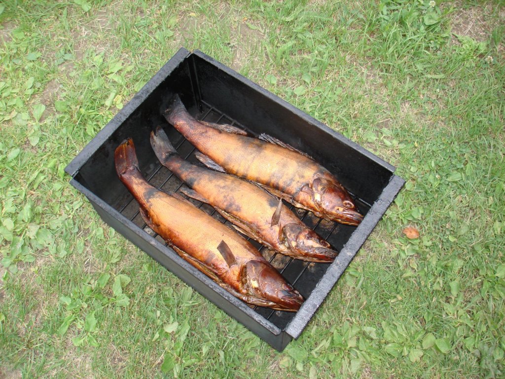 Первые ласточки.