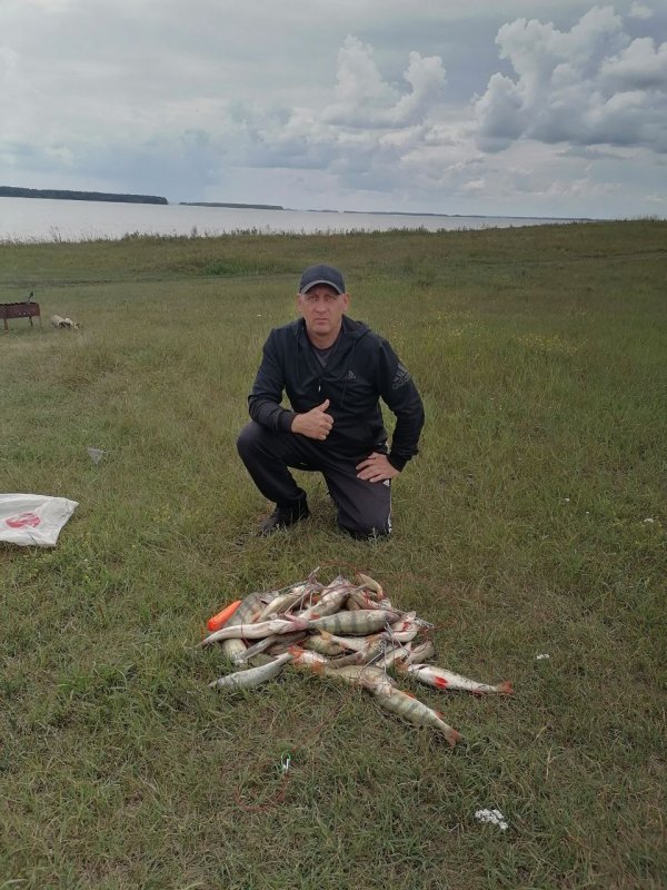 Удачно попал