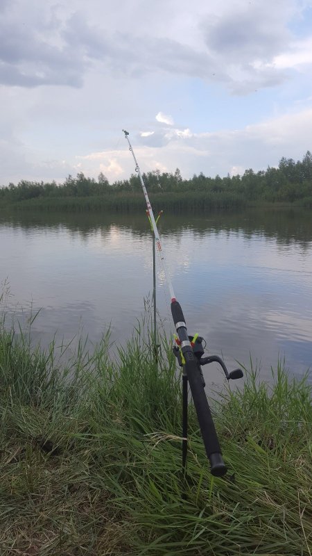 Мульки