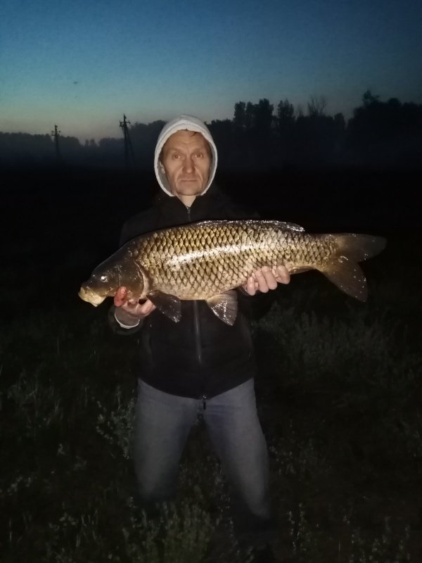 Карасик