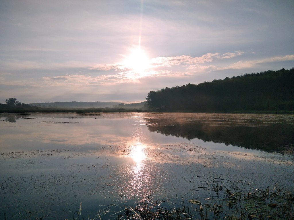 На заре.
