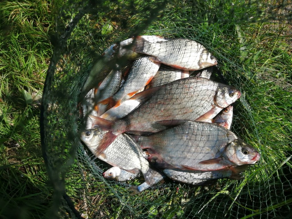 За огородами.