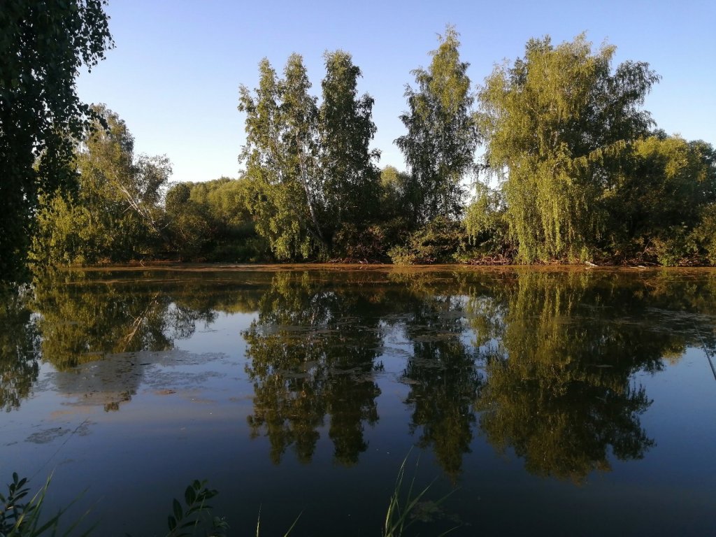 В окрестностях Криводановки.
