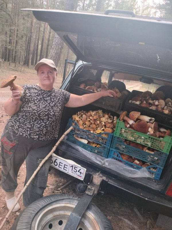 Свозила маму по грибы)