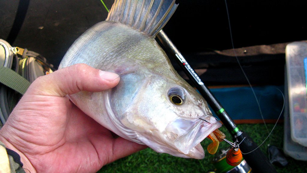 Norstream Favorite Jig Special FAS-802MMH - длина – 2,44 м, тест – 10-28 гр, строй – фаст (новинка!)