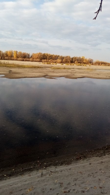 Погода Шепчет)