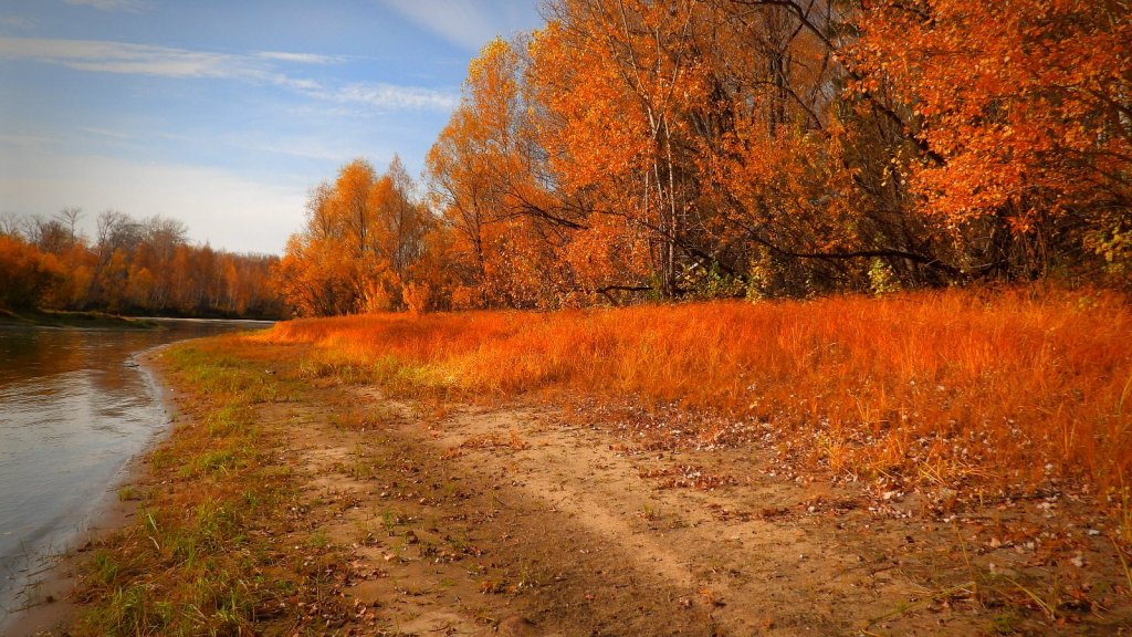 краски осени на Оби