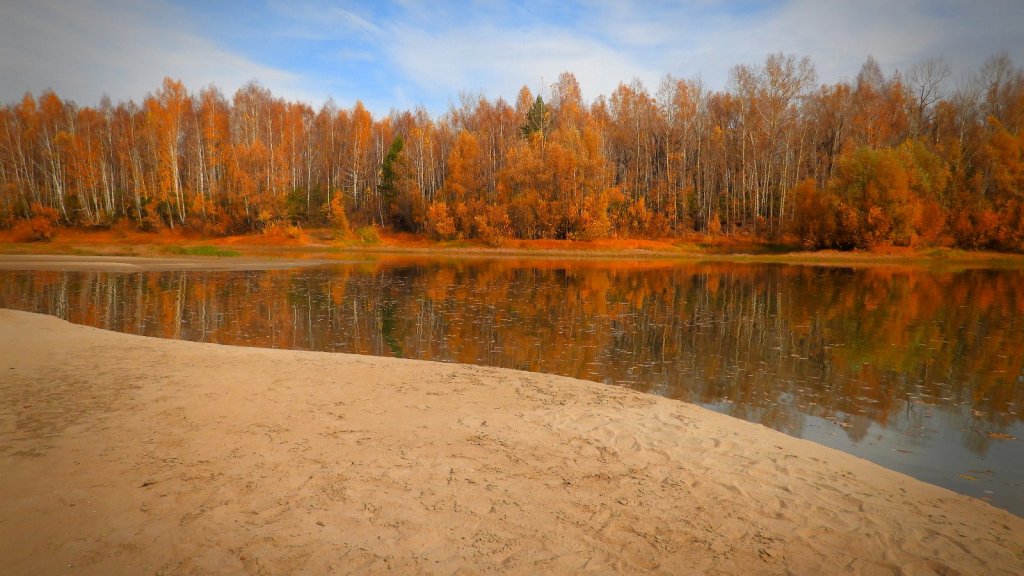 краски осени на Оби