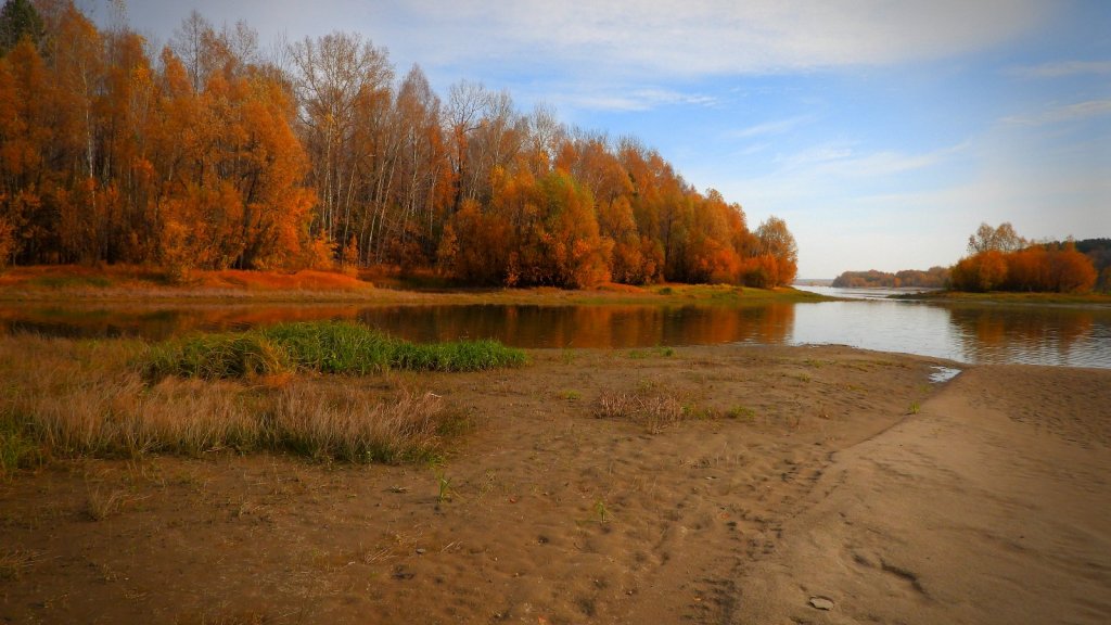 краски осени на Оби