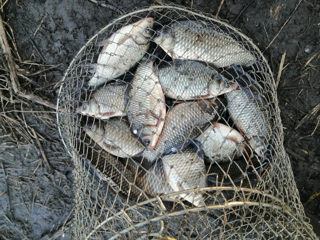 Сезон закрыл... 🤭(мне кажется).
