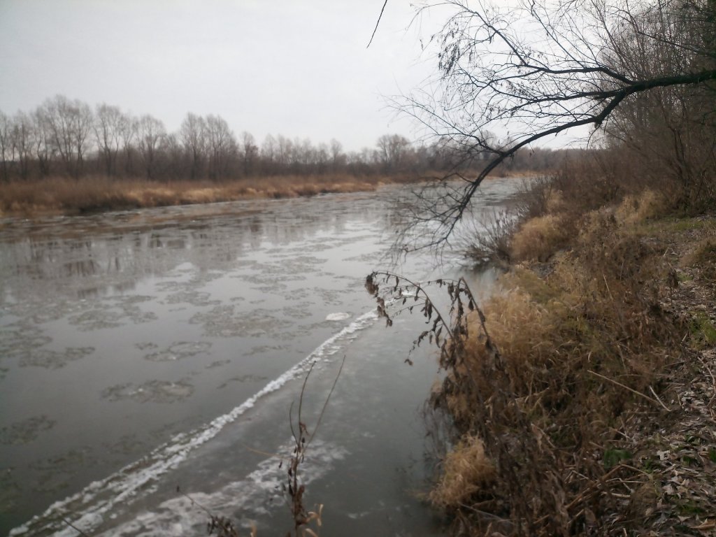 Река Иня.