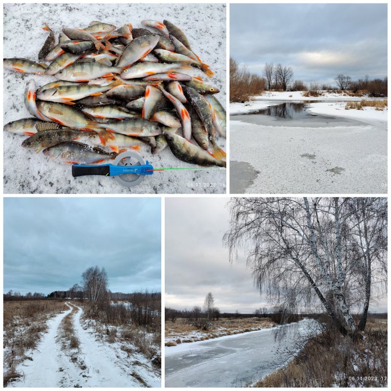 Уеньский мелкоокунь.