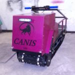 CANIS