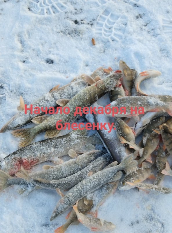 Начало декабря на блесенку.