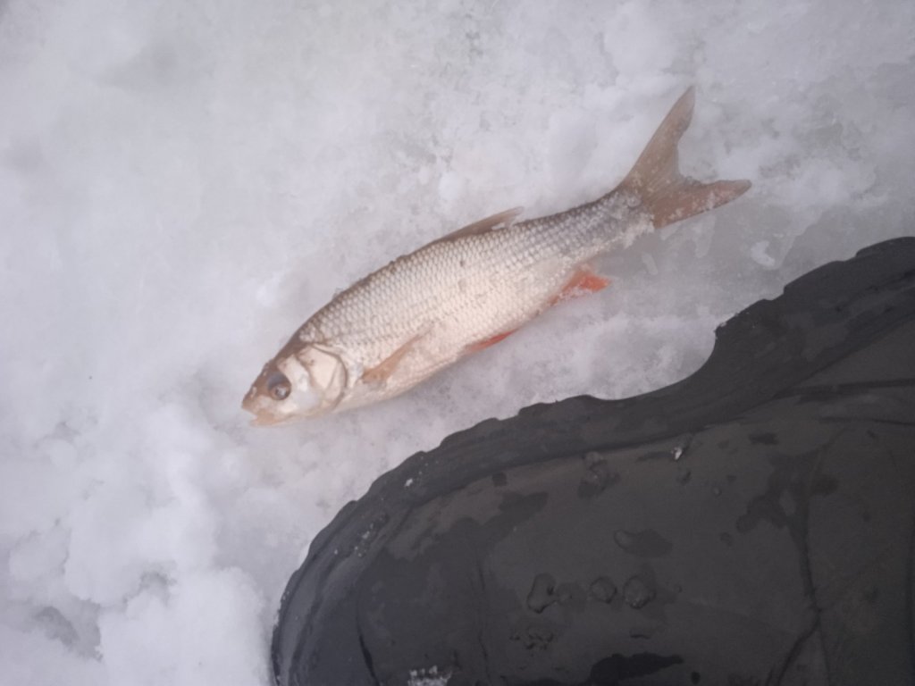Ю/з - поклёвки есть🎣