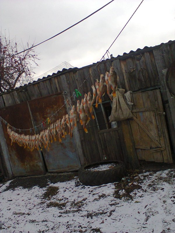 Рыбка к пивку ;)