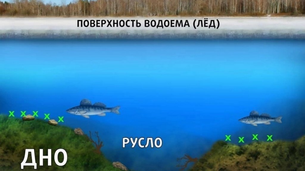 Как найти стоянку судака зимой