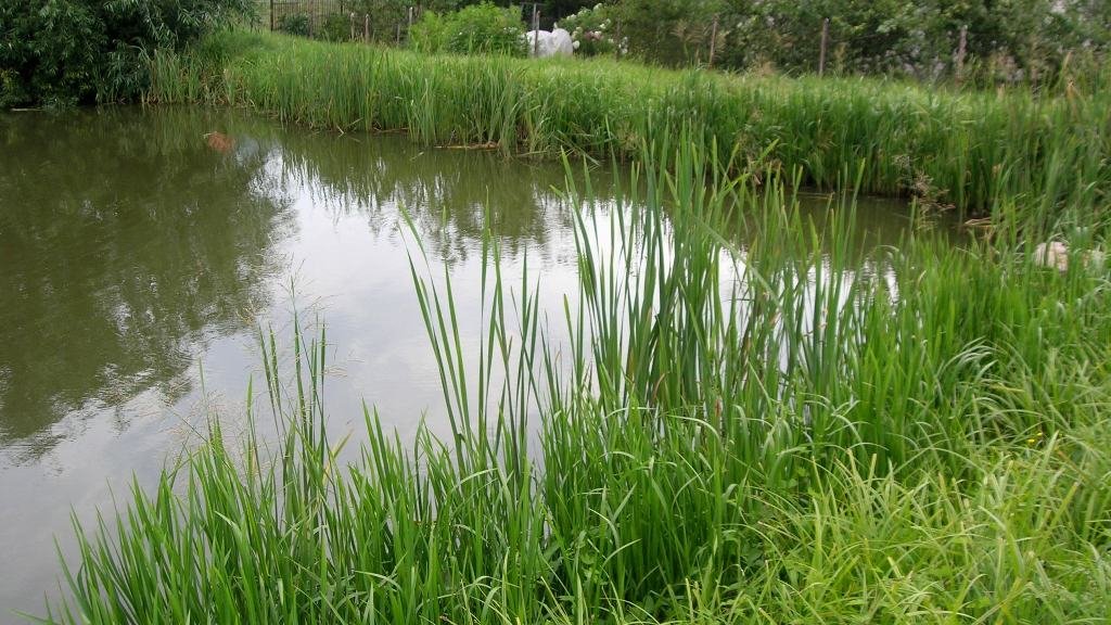 «Баллада о Рыбалке».  Конспект сценария. Комедия.