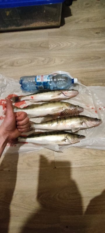 Овх. Погода сказка.