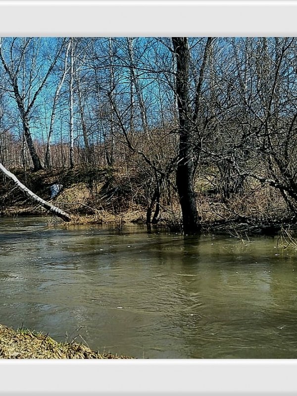 " Была бы апрельская водица,а рыбка народится". Речка Издревая.