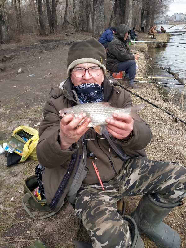 Клюёт, но редко...  .