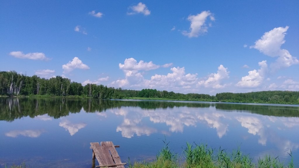 Где-то там живет карп
