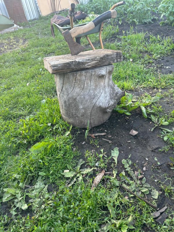 Кто что видит?