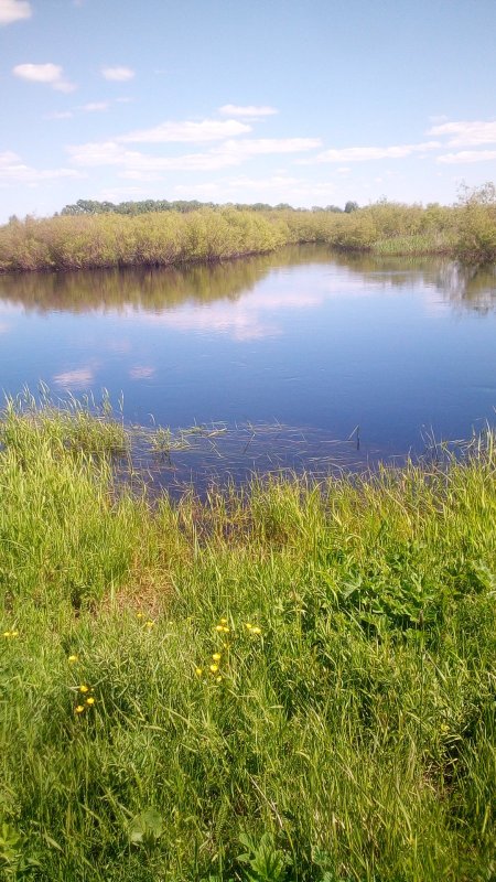 Воды пруд пруди