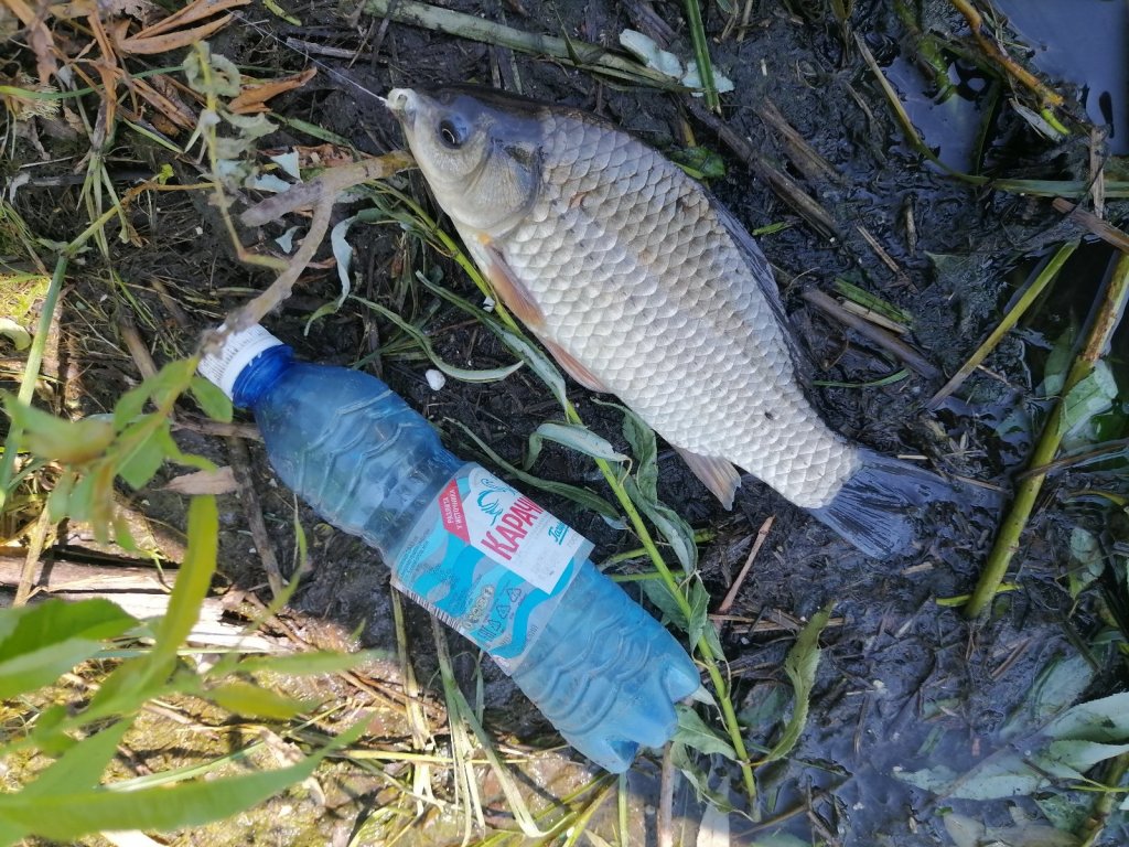 На сегодня хватит, это двадцатый...