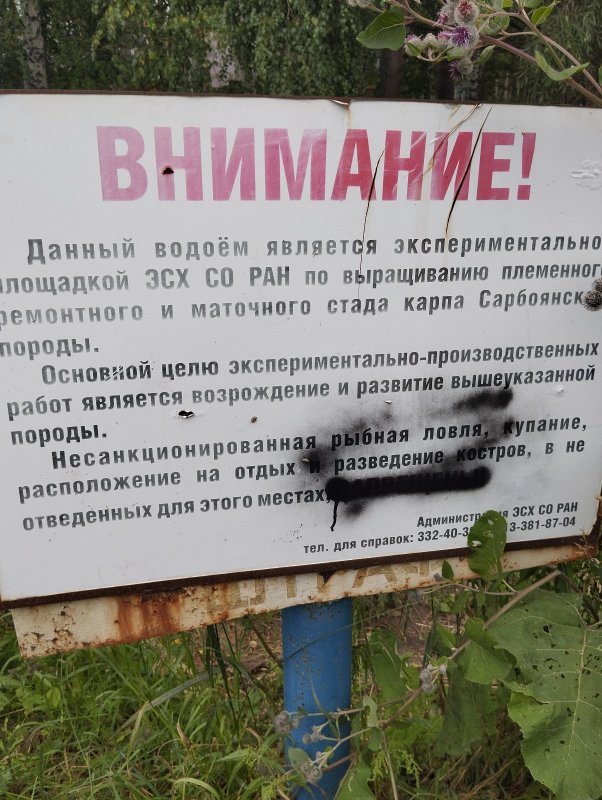 Нельзя рыбачить!.. 🤗