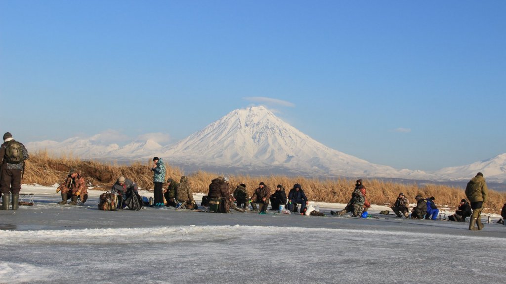 Корюшка камчатская