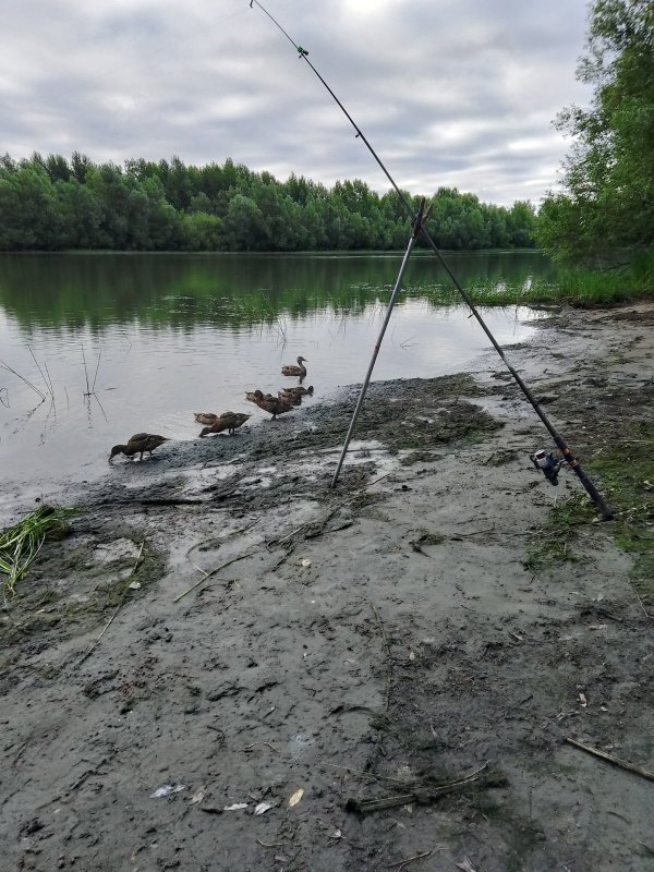 Дружим по соседски)