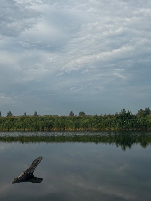 Глухое