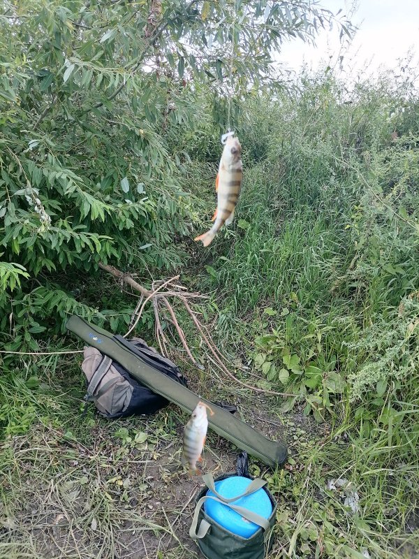Дуплет.