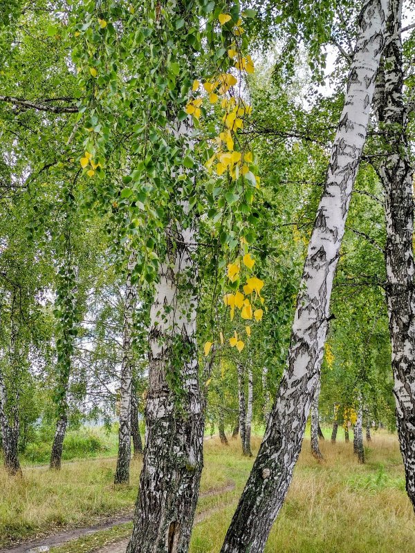 Начало осени