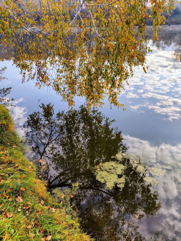Осень