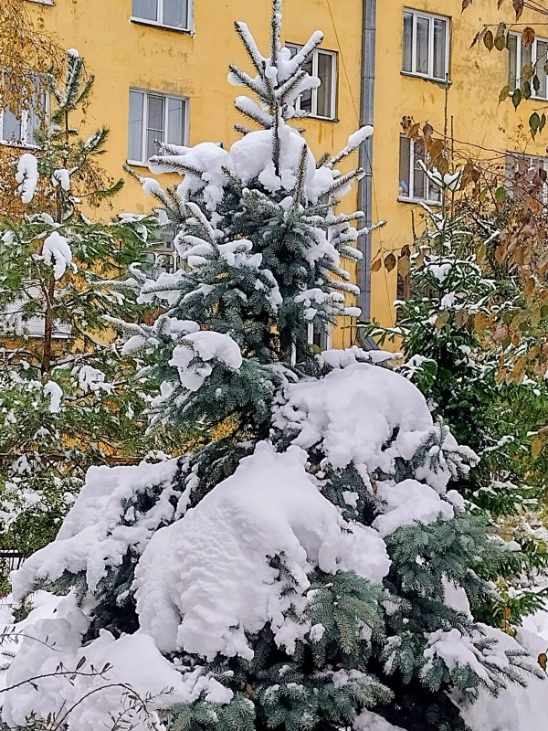 Во дворе-3